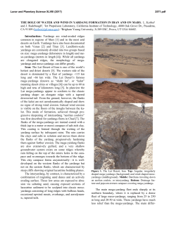 The Role of Water and Wind in Yardang Formation in Iran and on Mars