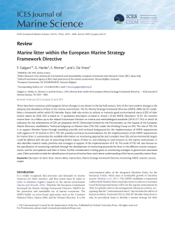 Marine litter within the European Marine Strategy Framework Directive