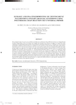 ecology and dna fingerprinting of cryptocoryne pallidinervia engler