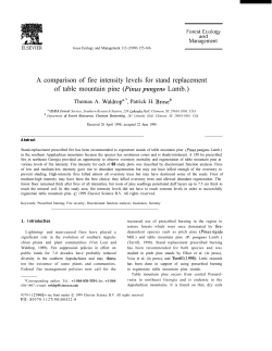 as a PDF
