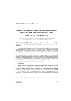 Oviductal lymphangiectasia secondary to mesosalphinx leiomyoma