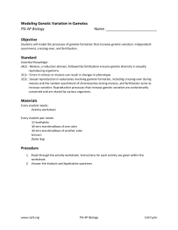 Modeling Genetic Variation in Gametes PSI AP Biology Name