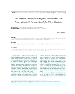 First palearctic fossil record of Polysticta stelleri (Pallas) 1769