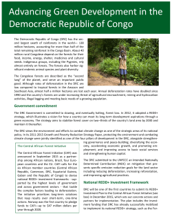 Advancing Green Development in the Democratic Republic of Congo