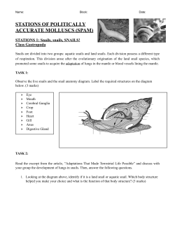Biology 11 Notes:Activity Mar 26:27