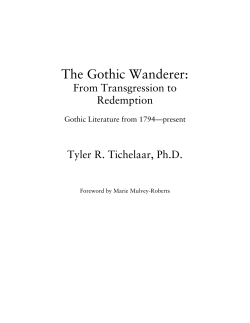 Look Inside the Book - The Gothic Wanderer