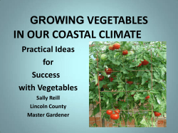 growing vegetables in our maritime climate