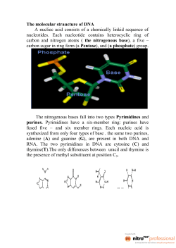 The molecular straucture of DNA