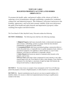 BlightedPropertyAccumulatedDebrisOrdinance