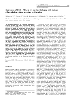 Expression of BCR±ABL in M1 myeloid leukemia cells induces
