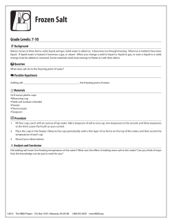 Frozen Salt - The NEED Project