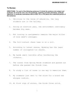 DIRECTIONS: In the space provided, describe a