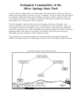 Ecological Communities of the Silver Springs State Park