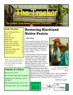 Restoring Blackland Native Prairie