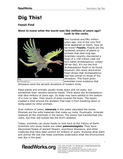 Dig This! - BassettUSD