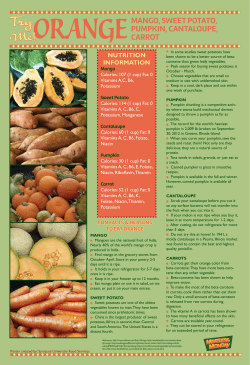 MANGO, SWEET POTATO, PUMPKIN, CANTALOUPE, CARROT