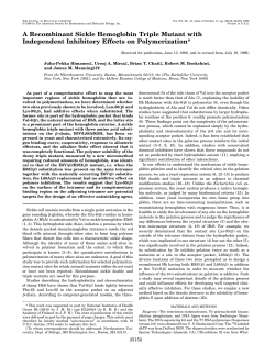 A Recombinant Sickle Hemoglobin Triple Mutant with Independent