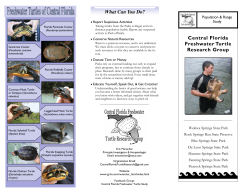 Central Florida Freshwater Turtle Research Group