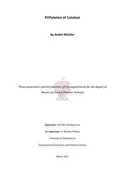 PVPylation of Catalase - Stellenbosch University