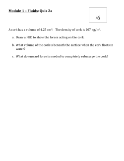 Module 1 &ndash; Fluids: Quiz 2a