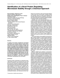 Identification of a Novel Protein Regulating Microtubule Stability