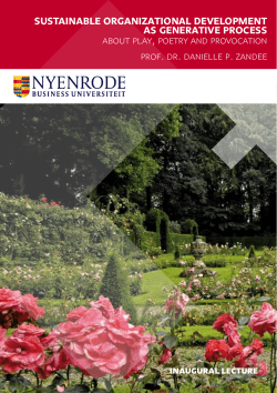 sustainable organizational development as generative process