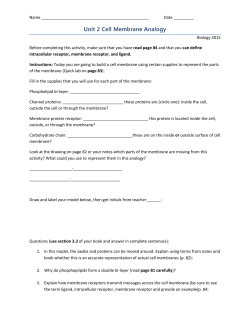 Unit 2 Cell Membrane Analogy