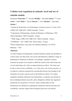 Cellular iron regulation in animals: need and use of