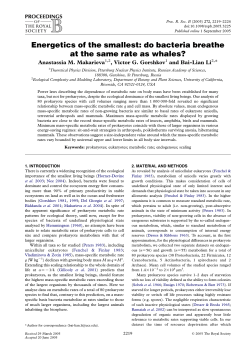 Energetics of the smallest: do bacteria breathe at the same rate as