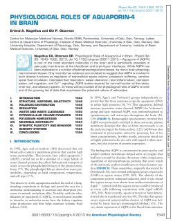 physiological roles of aquaporin-4 in brain