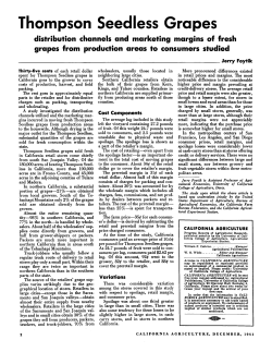 Thompson Seedless Grapes