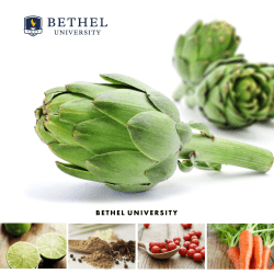 pdf - Bethel University