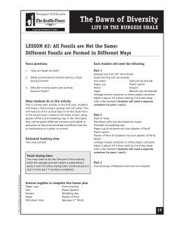 Fossils are Not the Same