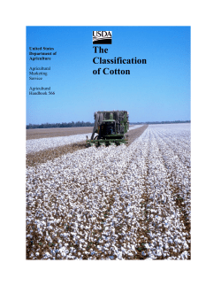 The Classification of Cotton
