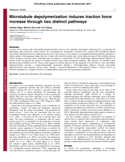 Microtubule depolymerization induces traction force increase