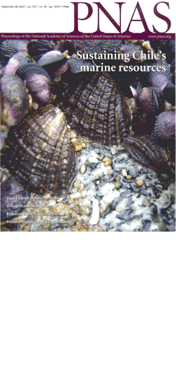 Here - Global Greengrants Fund