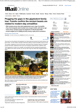 Fossils confirm the ancient glyptodonts are related to modern