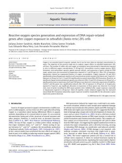 Aquatic Toxicology Reactive oxygen species generation - inct-TA