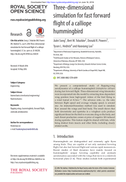 PDF - College of Humanities and Sciences