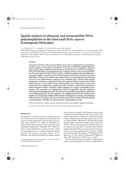 Spatial analysis of allozyme and microsatellite DNA polymorphisms