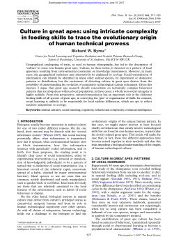Culture in great apes: using intricate complexity in feeding skills to