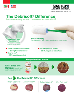 The Debrisoft&reg; Difference