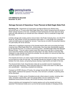 Salvage Harvest of Hazardous Trees Planned at Bald Eagle State