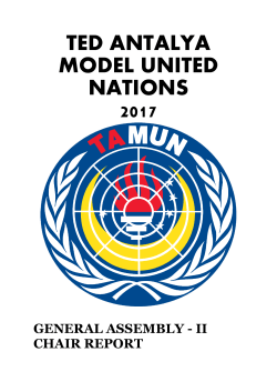 2. political committee - TED Antalya / Model United Nations