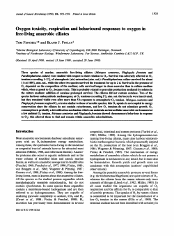Oxygen toxicity, respiration and behavioural