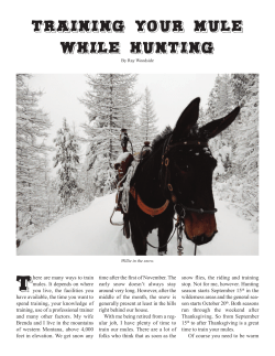Training Your Mule While Hunting