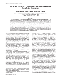 SHORT INTEGUMENTS 2 Promotes Growth During