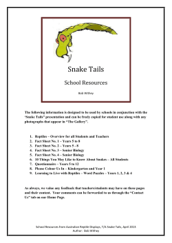 to view our School Resources PDF file.