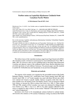 Further notes on Leptolida (Hydrozoa: Cnidaria) from - UvA-DARE