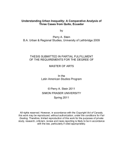 Understanding Urban Inequality: A Comparative